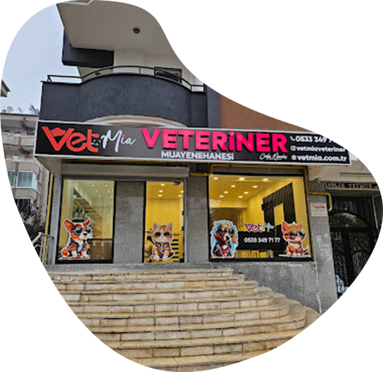 Vetmia Gaziantep Veteriner Kliniği Anasayfa