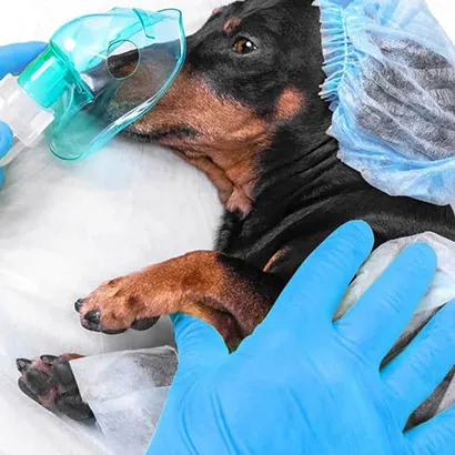 Cerrahi Operasyon ve Müdahele