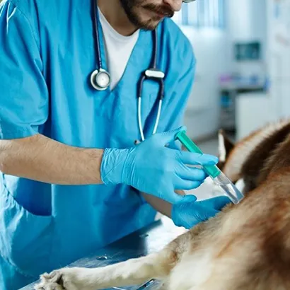 Koruyucu Hekimlik ve Aşılama