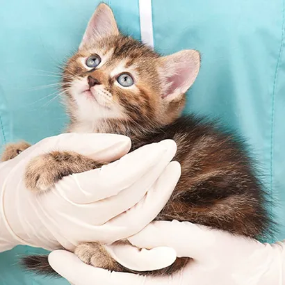 Koruyucu Hekimlik ve Aşılama