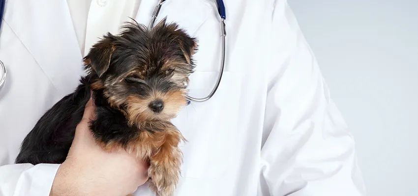 Laboratuvar Hizmetleri