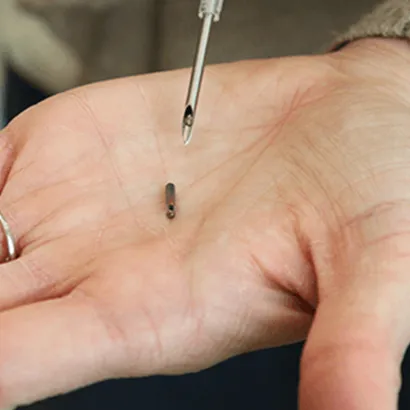 Mikroçip Uygulaması